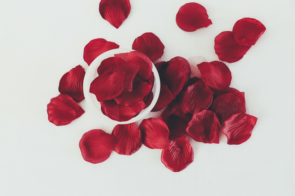 Pétales de roses rouges